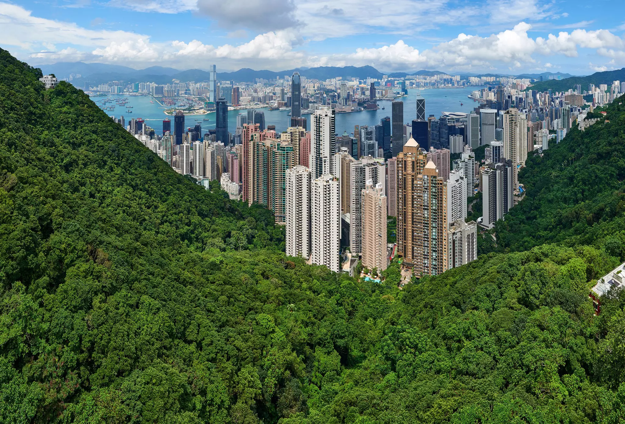 Panoramic View from Victoria Peak across the skyscrapers in the city center of Hong Kong with green trees in the foreground.