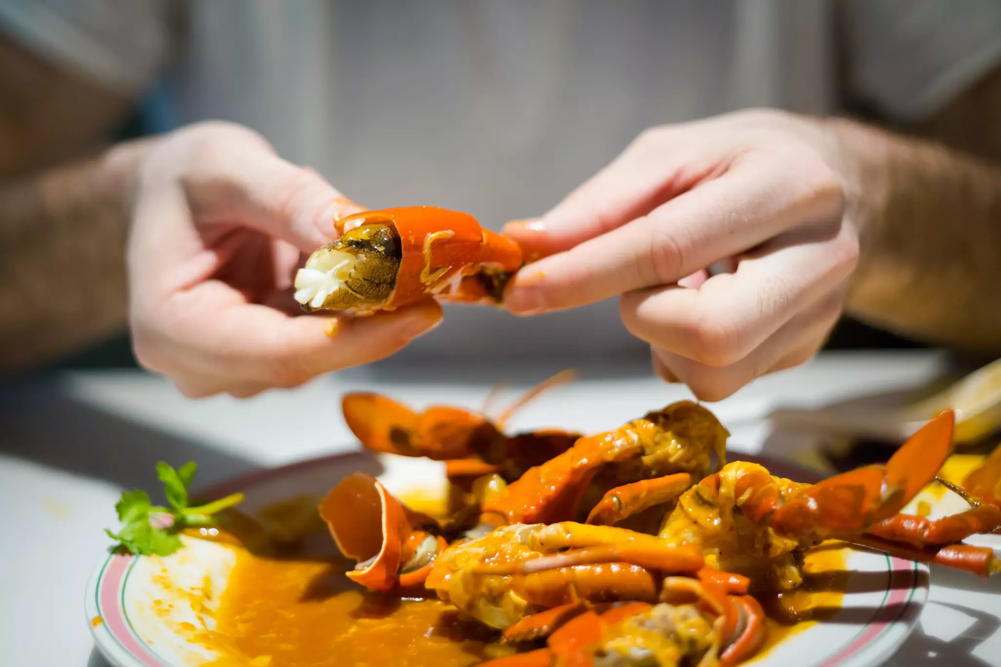 A woman holds pieces of crab over a bowl filled with sauce.