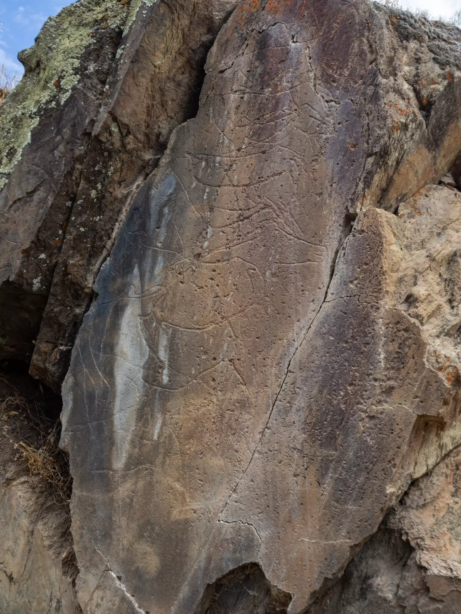 Detail on a vertical smooth panel containing various engravings, part of the open air rock art, in the Côa Valley Archaeological Park.Vila Nova de Foz Côa, Portugal., License Type: media, Download Time: 2025-12-09T22:12:31.000Z, User: Norma.PrauseBrewer_LonelyPlanet, Editorial: false, purchase_order: 56530 - Guidebooks, job: Global Publishing WIP, client: Europe 5, other: Norma Brewer