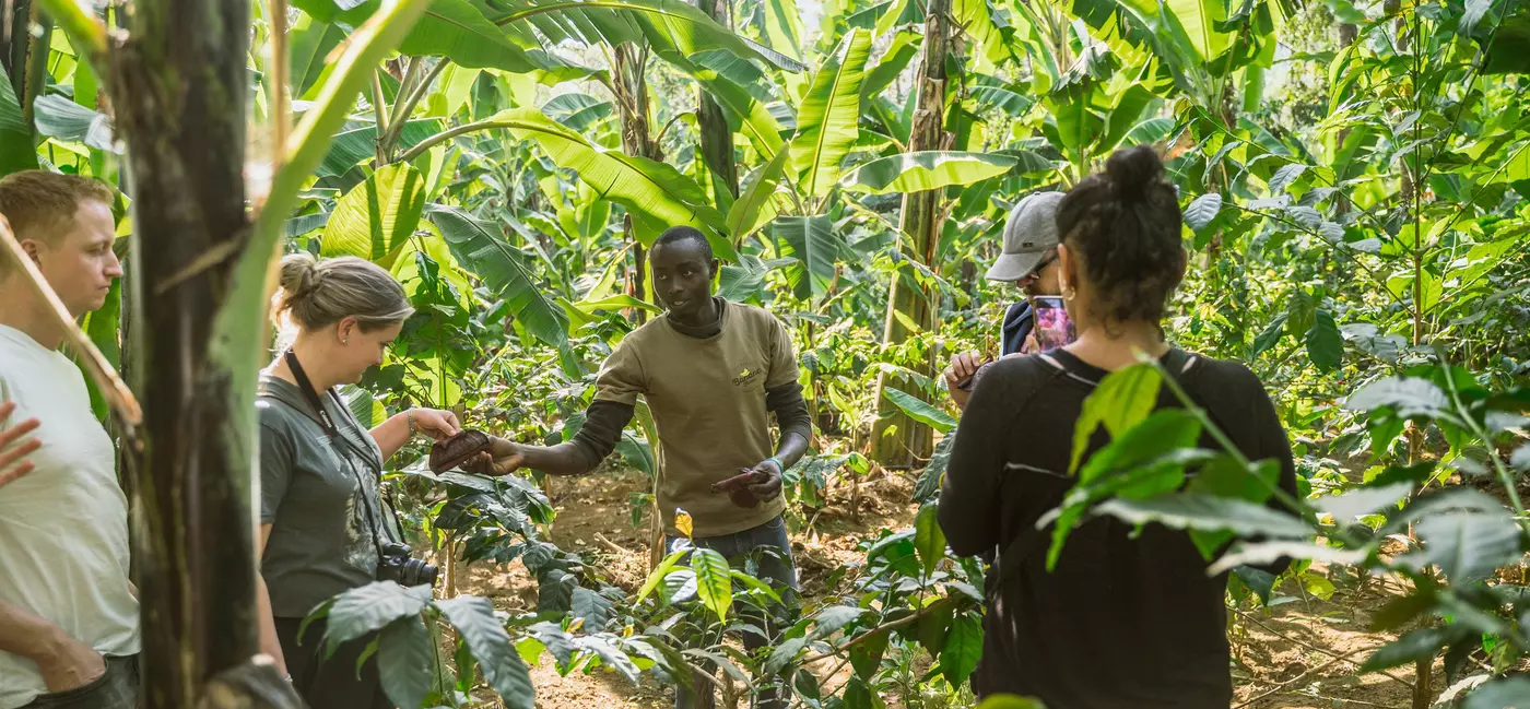 A guide shows crops to tourists in dense tropical forest.