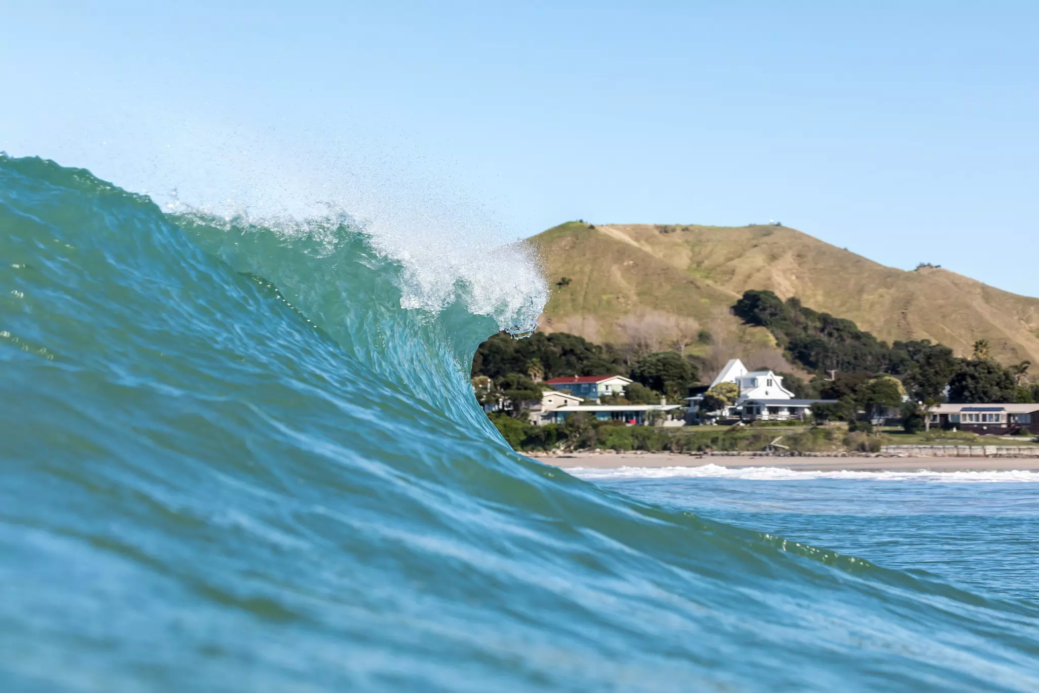 A surfing wave about to break at Wainui Beach near Tairāwhiti Gisborne, New Zealand. 