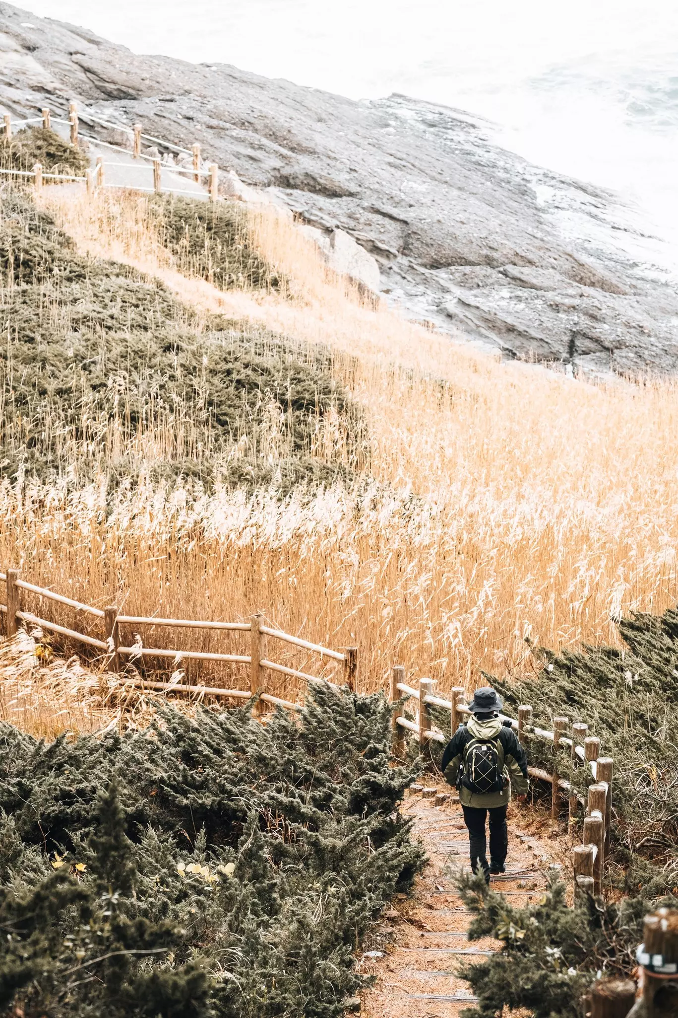 A hiker follows a path through long grassland topped with snow in the winter.