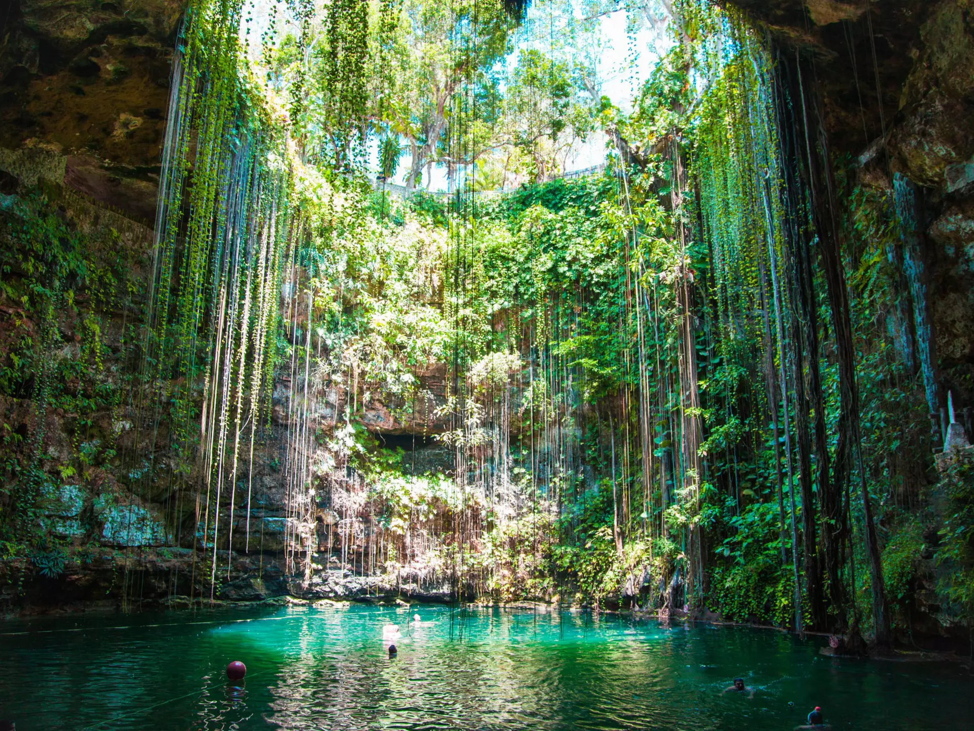 Go cenote hopping on the Yucatan Peninsula on a day trip from Playa del Carmen. Tiago Fialho/Shutterstock