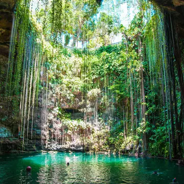 Go cenote hopping on the Yucatan Peninsula on a day trip from Playa del Carmen. Tiago Fialho/Shutterstock