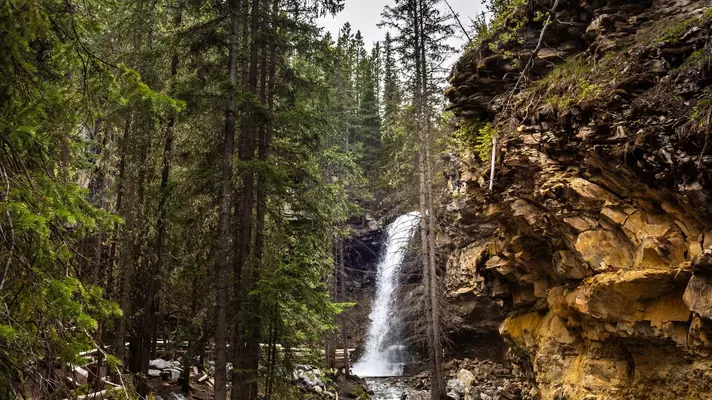 A waterfall rushes into a creek surrounded by forest.