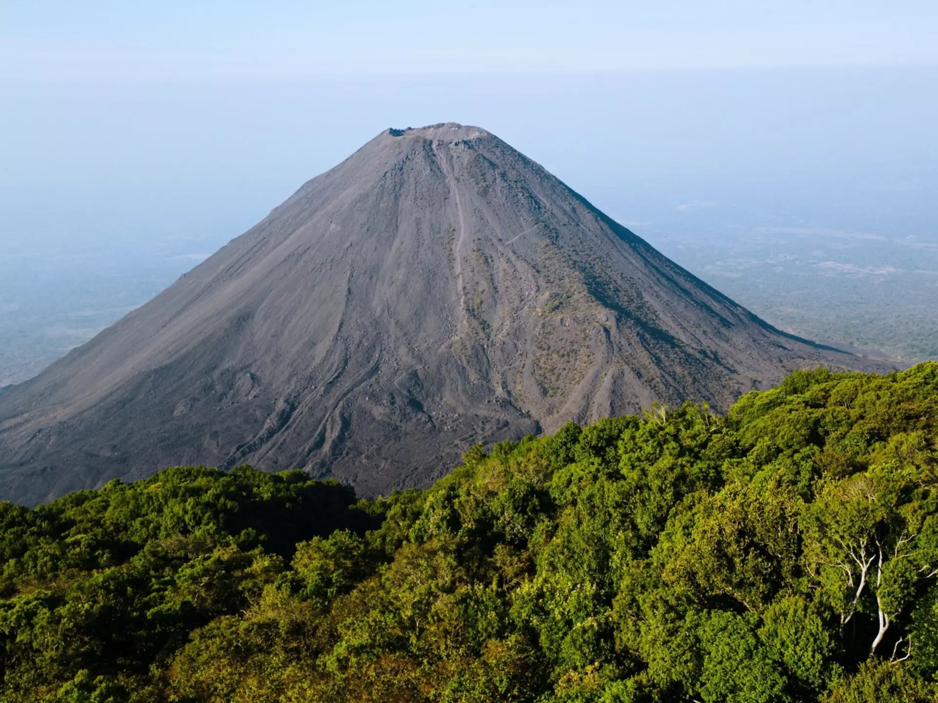 The gray dusty surface of the cone of a volcano surrounded by dense jungle.