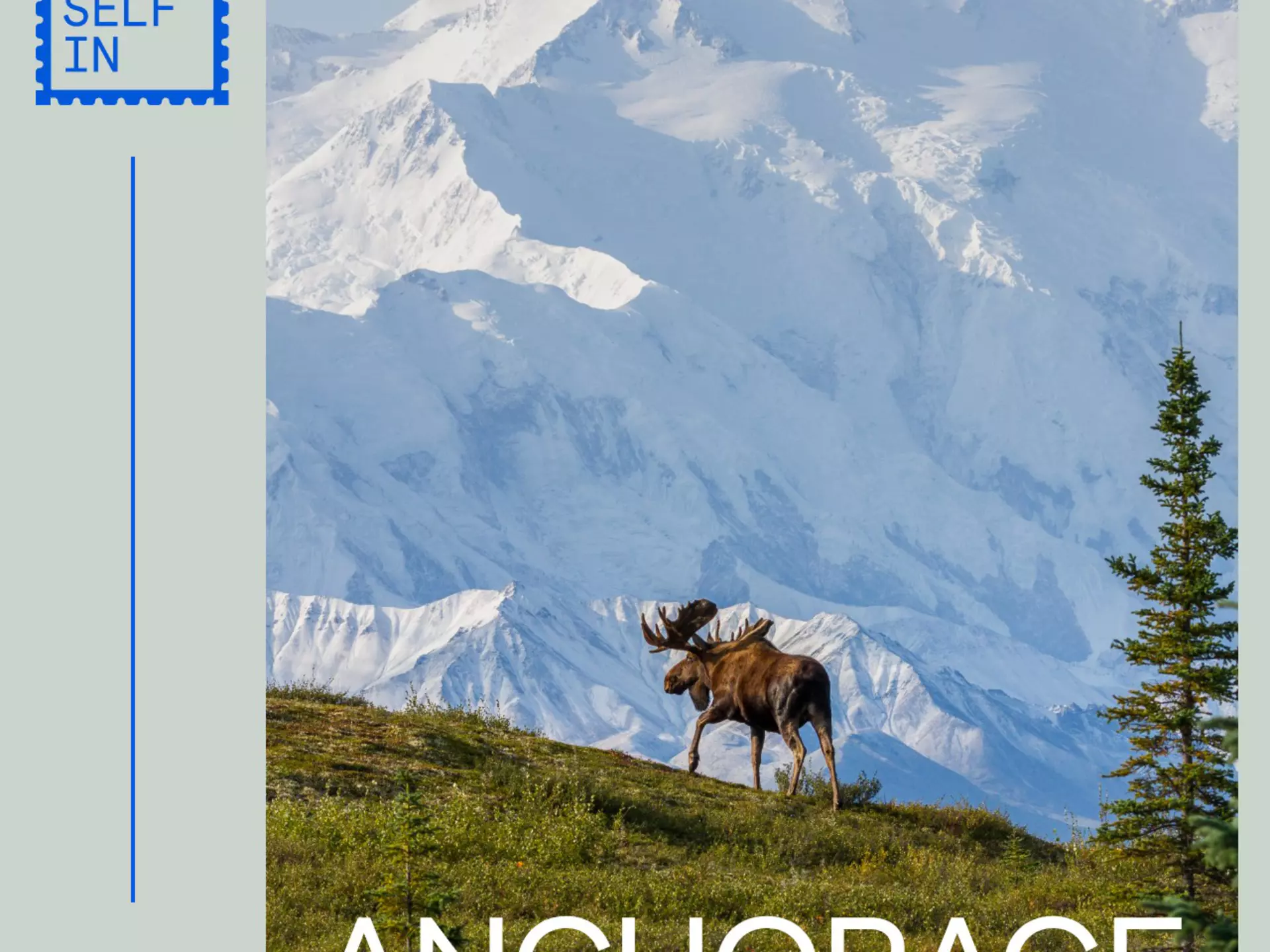 PYI Anchorage - Newsletter