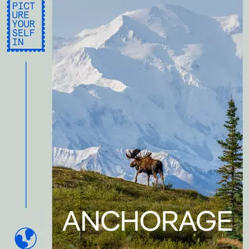 PYI Anchorage - Newsletter
