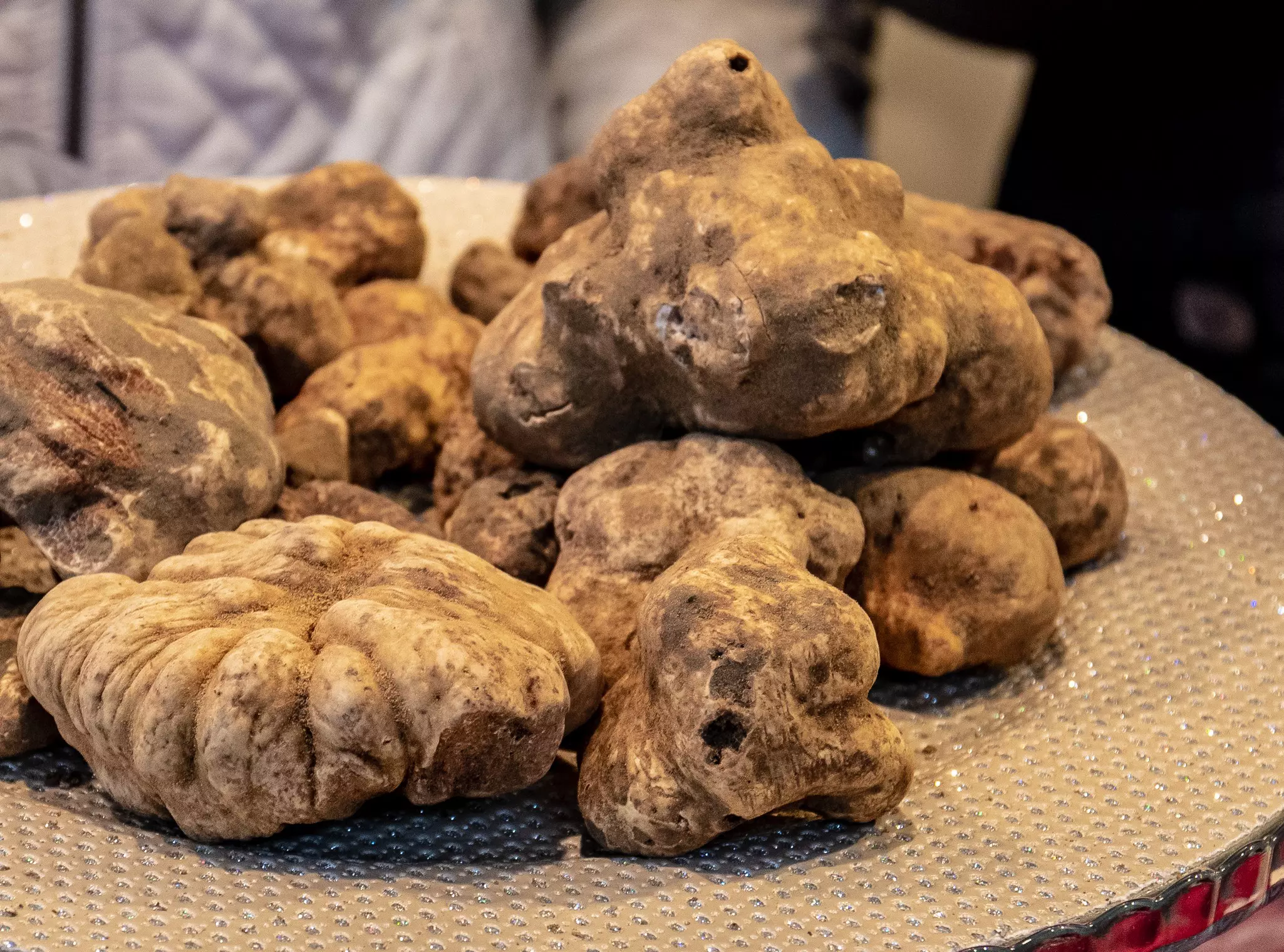 White truffles on a dish in San Miniato, Tuscany, Italy.