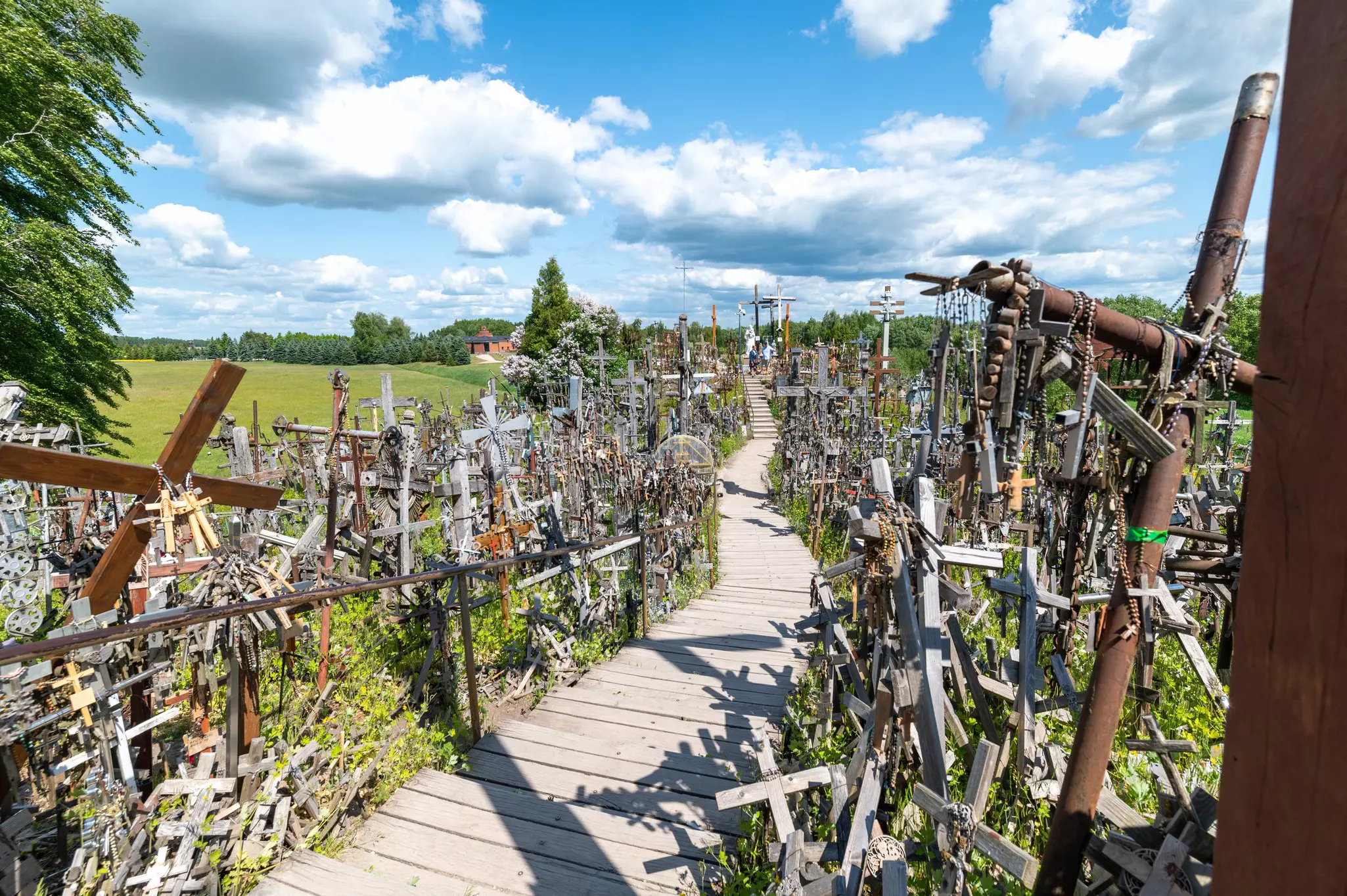 A pathway leads through a display of many different crosses of varying sizes.