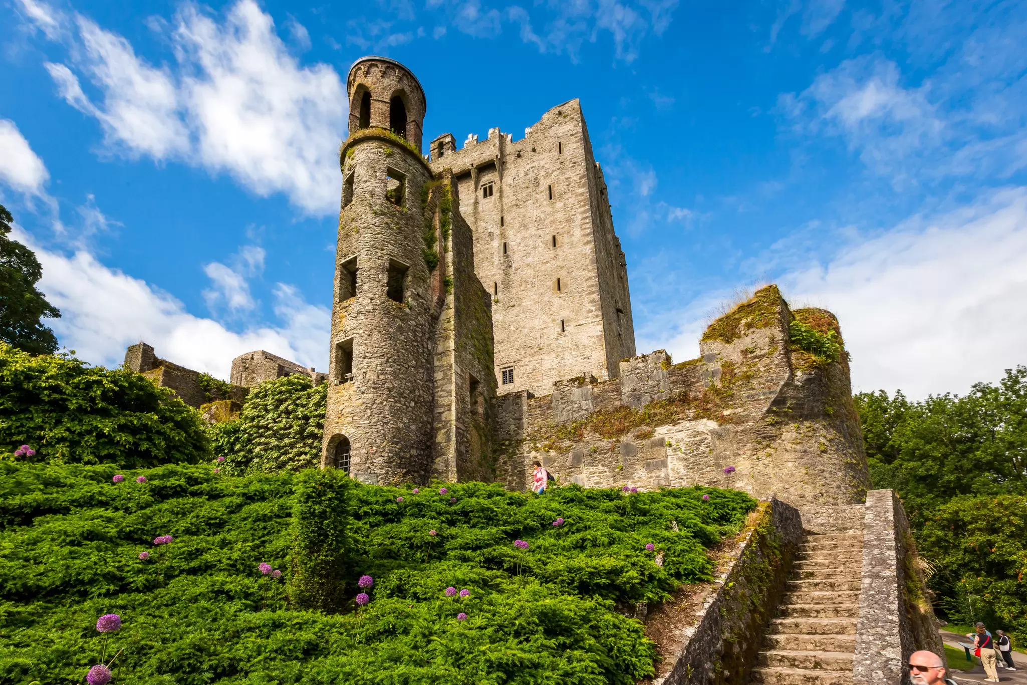Blarney. Ireland. 06/16/2018 Blarney Castle in the middle of a blooming park.   License Type: media  Download Time: 2022-04-04T13:52:06.000Z  User: FergalCo  Is Editorial: Yes  purchase_order: