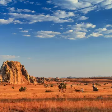 Tall eroded rock outcrop and scattered palms across orange grass plains under a blue sky with light clouds.