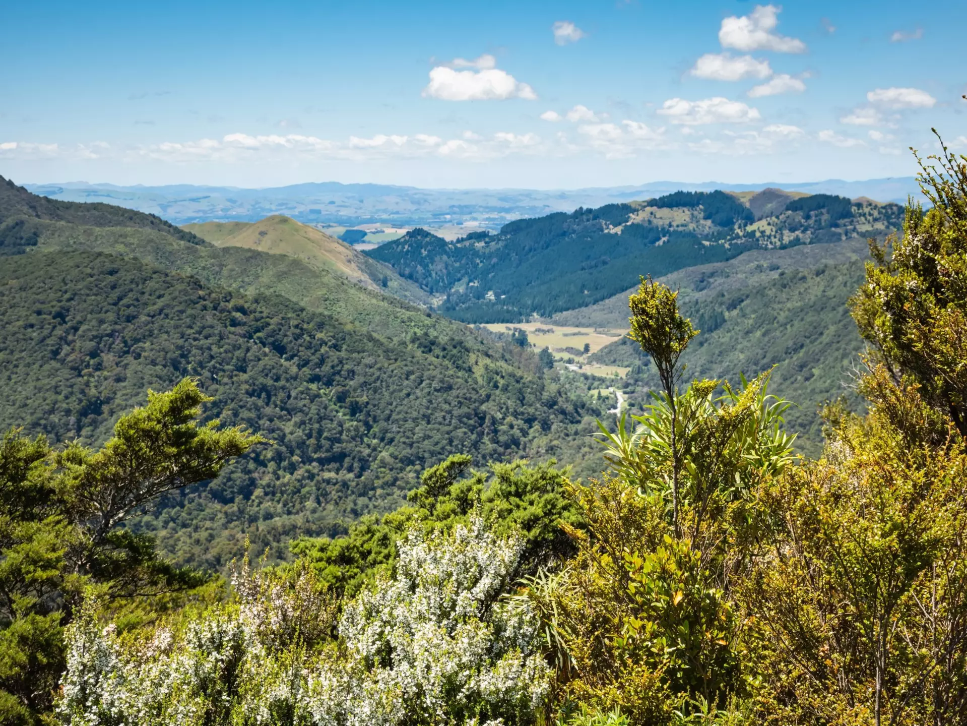 Wairarapa's region offers multiple reasons to visit. AcropolypsePhotography/Shutterstock
