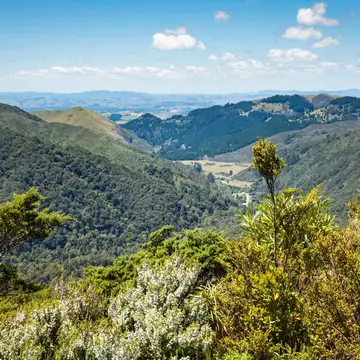 Wairarapa's region offers multiple reasons to visit. AcropolypsePhotography/Shutterstock