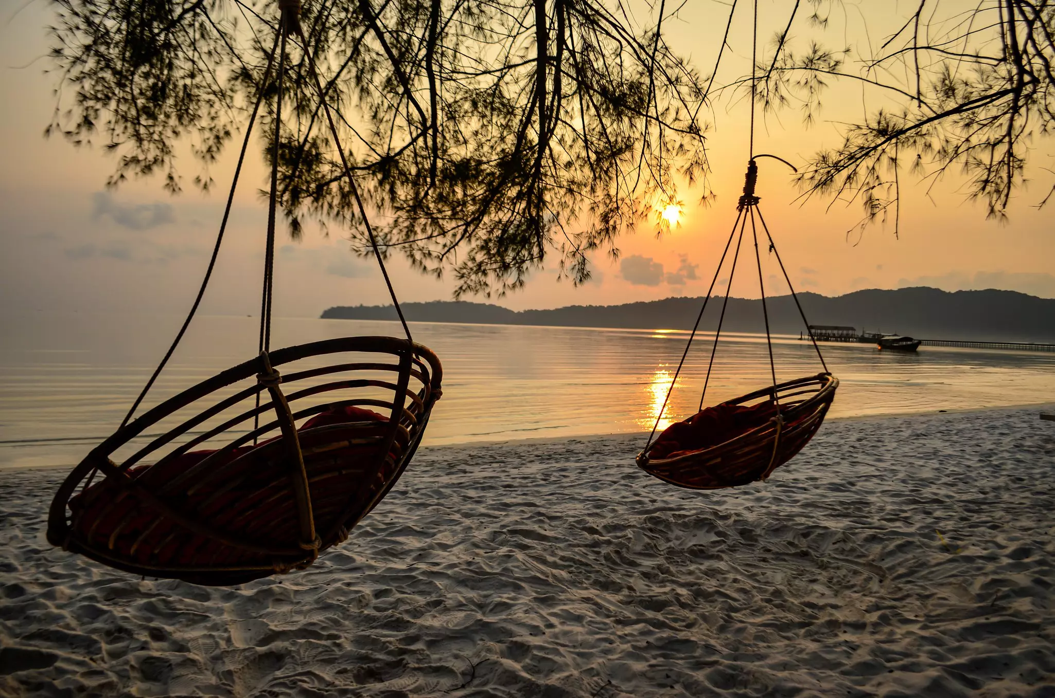 Two swings hang from a tree at a sandy beach during sunset.
