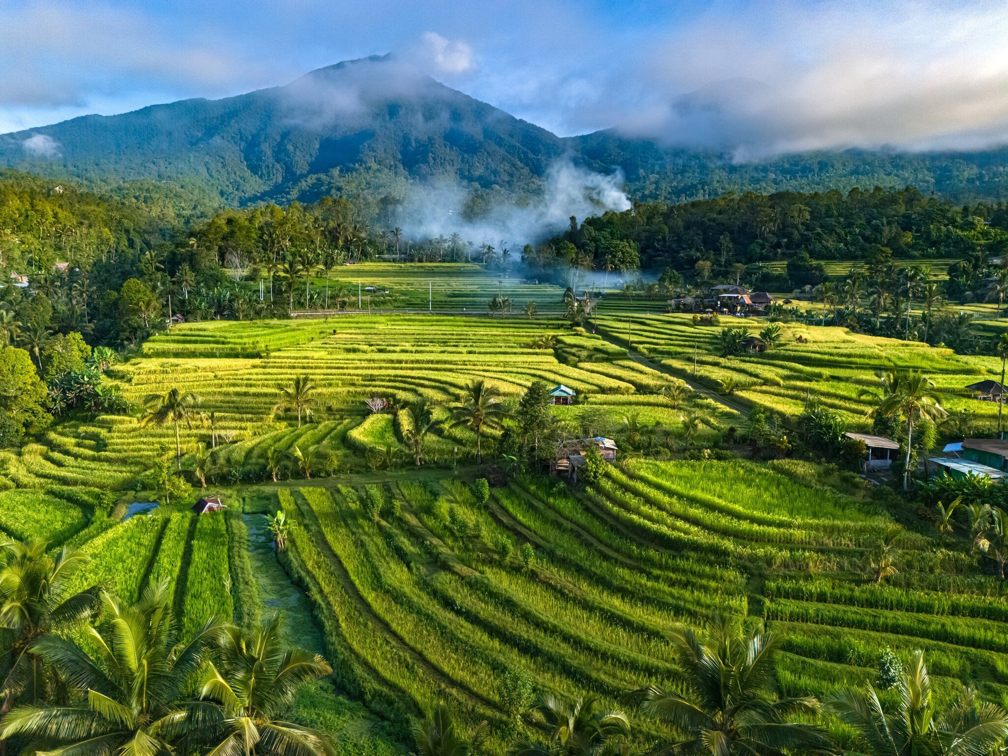 Landscape view of Jatiluwih Rice Terraces in Penebel District, Tabanan Regency, Bali, Indonesia. UNESCO's world's cultural heritage site, License Type: media, Download Time: 2026-02-06T17:25:21.000Z, User: meg3348277, Editorial: false, purchase_order: 56530 - Guidebooks, job: Global Publishing-WIP, client: Lonely Planet – Bali, Lombok & Nusa Tenggara 20, other: Megan Cassidy