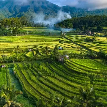 Landscape view of Jatiluwih Rice Terraces in Penebel District, Tabanan Regency, Bali, Indonesia. UNESCO's world's cultural heritage site, License Type: media, Download Time: 2026-02-06T17:25:21.000Z, User: meg3348277, Editorial: false, purchase_order: 56530 - Guidebooks, job: Global Publishing-WIP, client: Lonely Planet – Bali, Lombok & Nusa Tenggara 20, other: Megan Cassidy