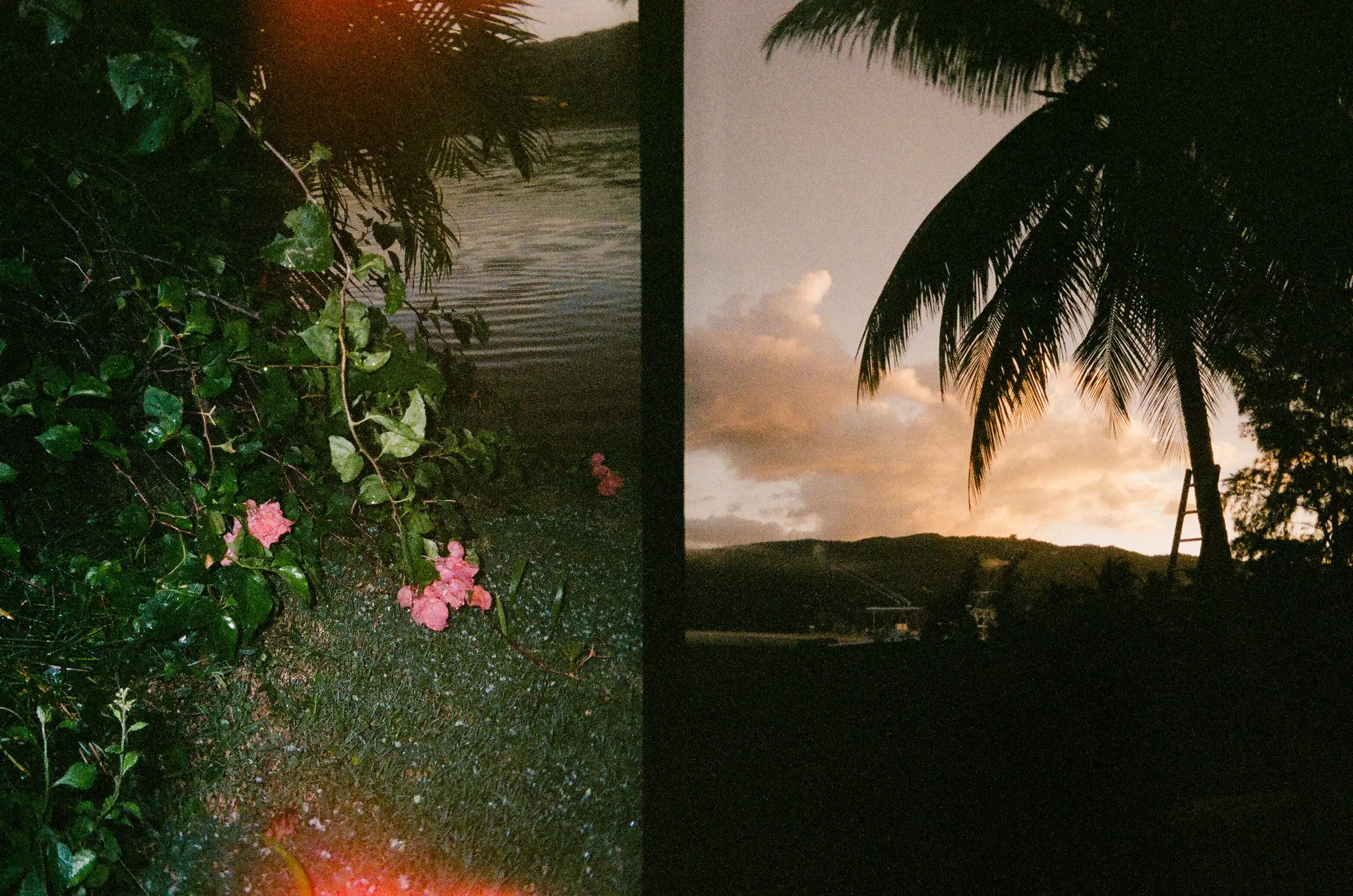 Collage for "Our editors' favorite cameras for travel"

Film snaps from Montego Bay, Jamaica. Rhia Hylton/Lonely Planet