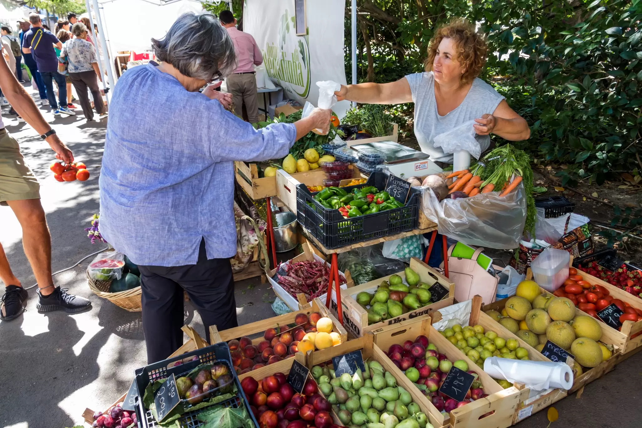 The walking route leads to Jardim do Príncipe Real's hilltop market © Jeffrey Greenberg / Universal Images Group / Getty Images.