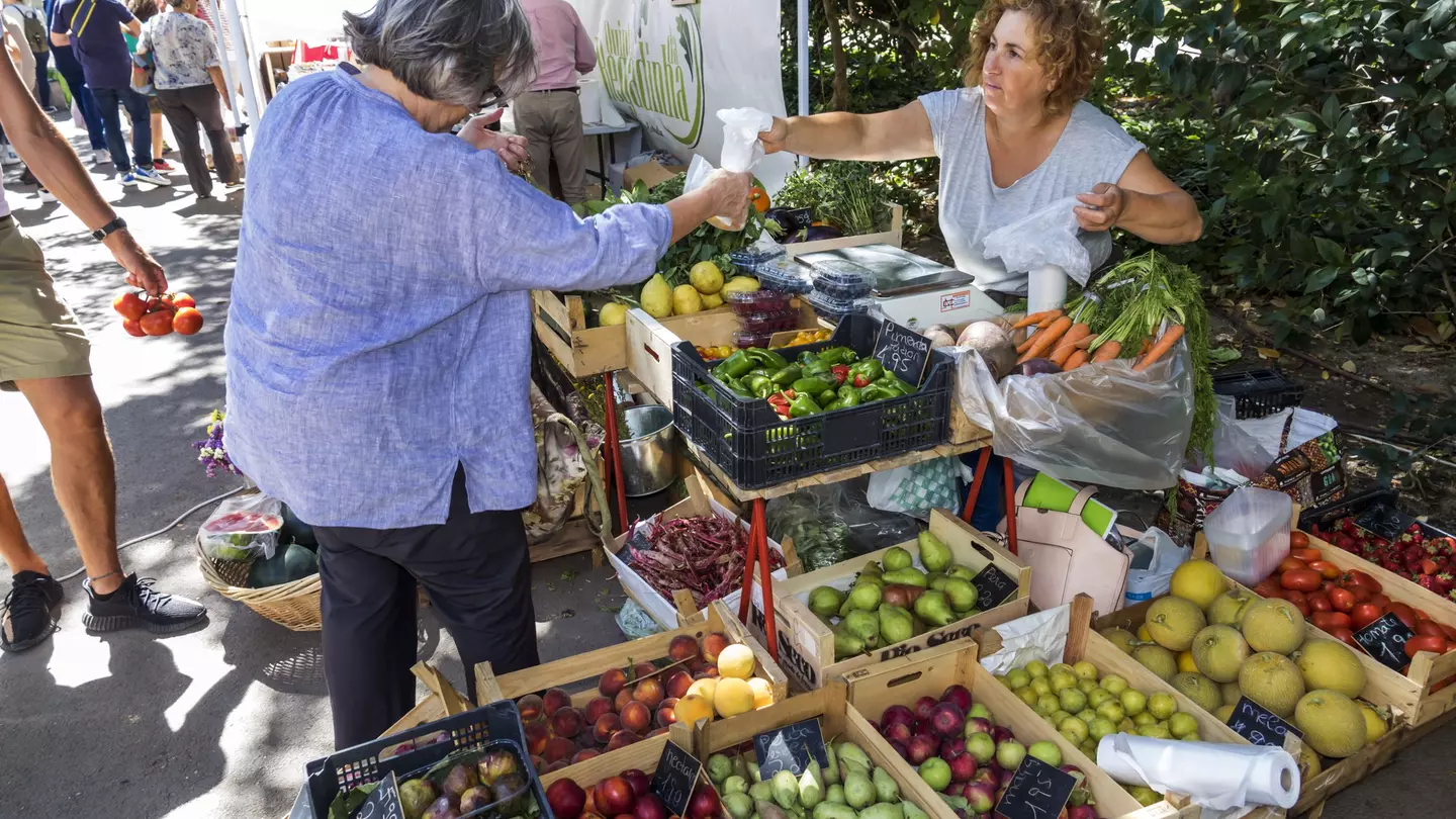 The walking route leads to Jardim do Príncipe Real's hilltop market © Jeffrey Greenberg / Universal Images Group / Getty Images.