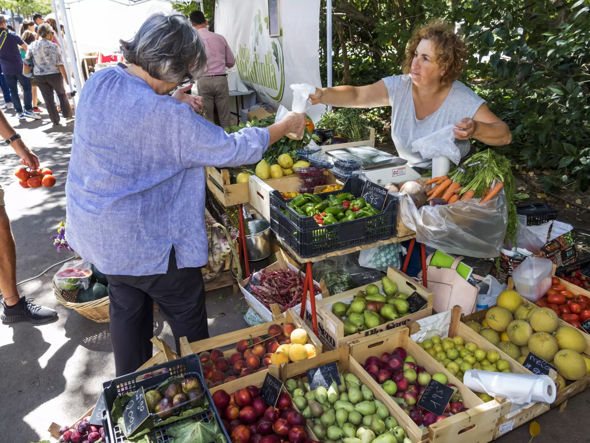 The walking route leads to Jardim do Príncipe Real's hilltop market © Jeffrey Greenberg / Universal Images Group / Getty Images.