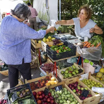 The walking route leads to Jardim do Príncipe Real's hilltop market © Jeffrey Greenberg / Universal Images Group / Getty Images.