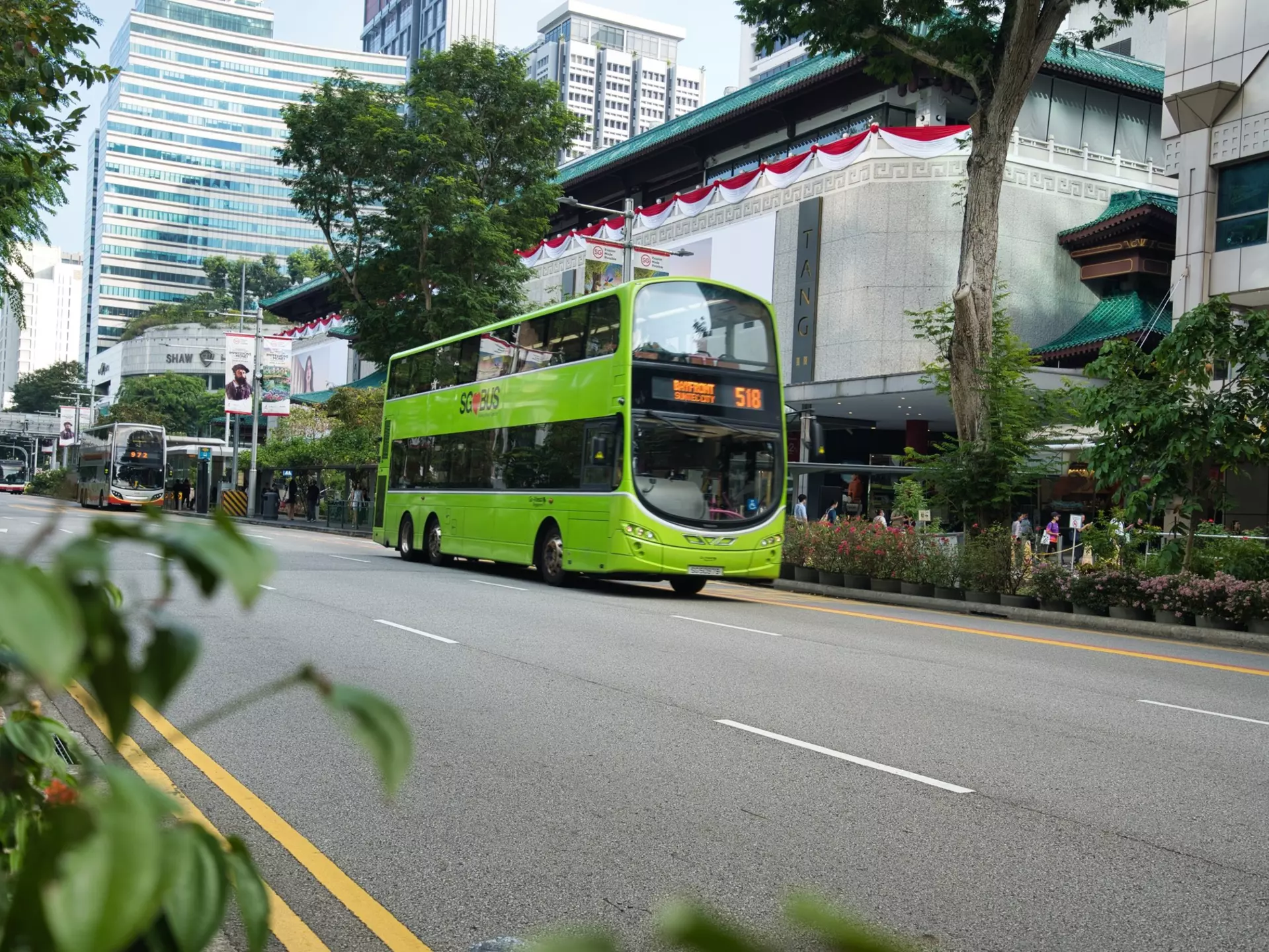 A bus from Singapore's extensive service. Kowshi .L/Shutterstock  