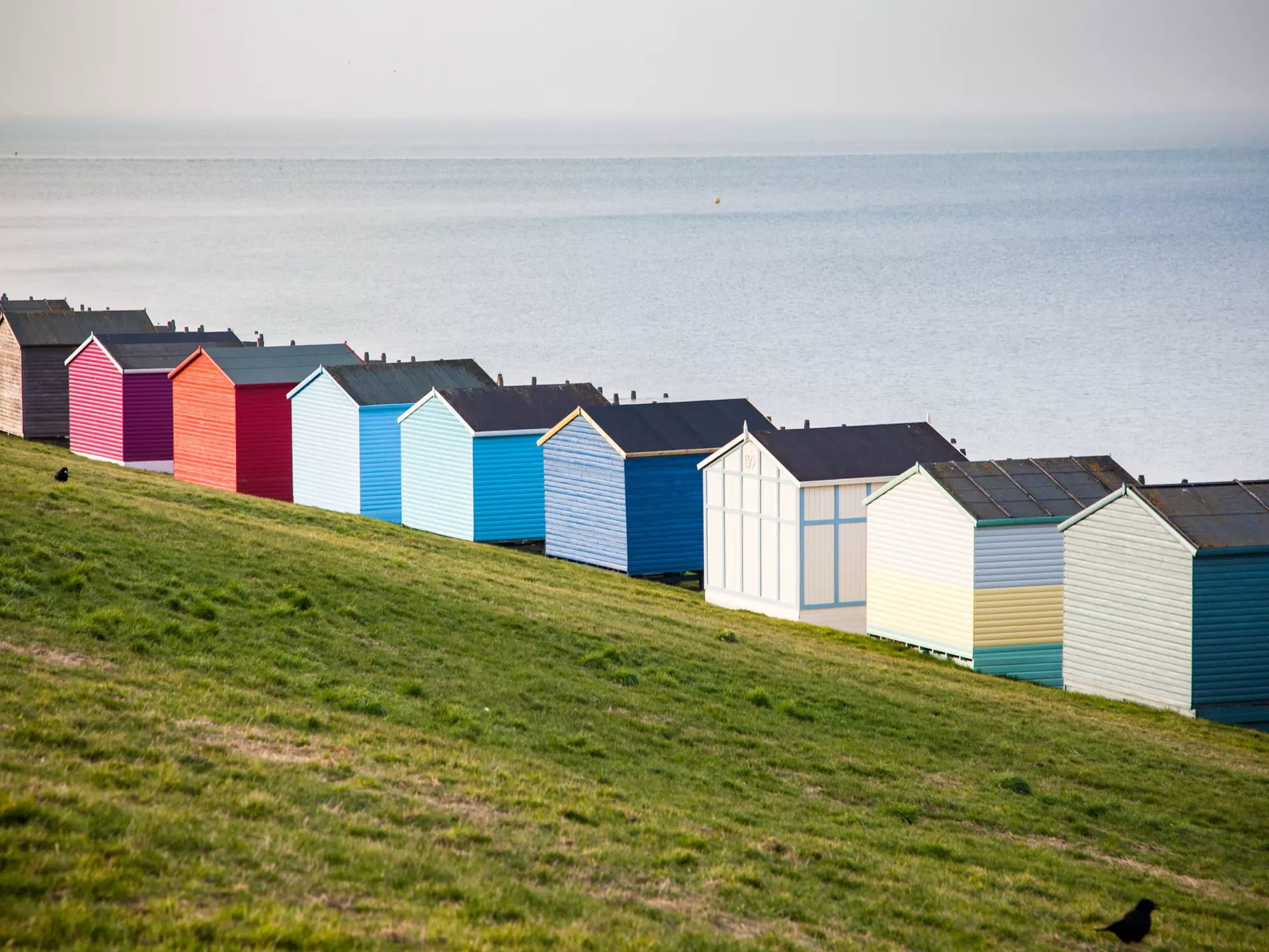 Beach huts at Tankerton, near Whitstable. Melinda Nagy/Shutterstock