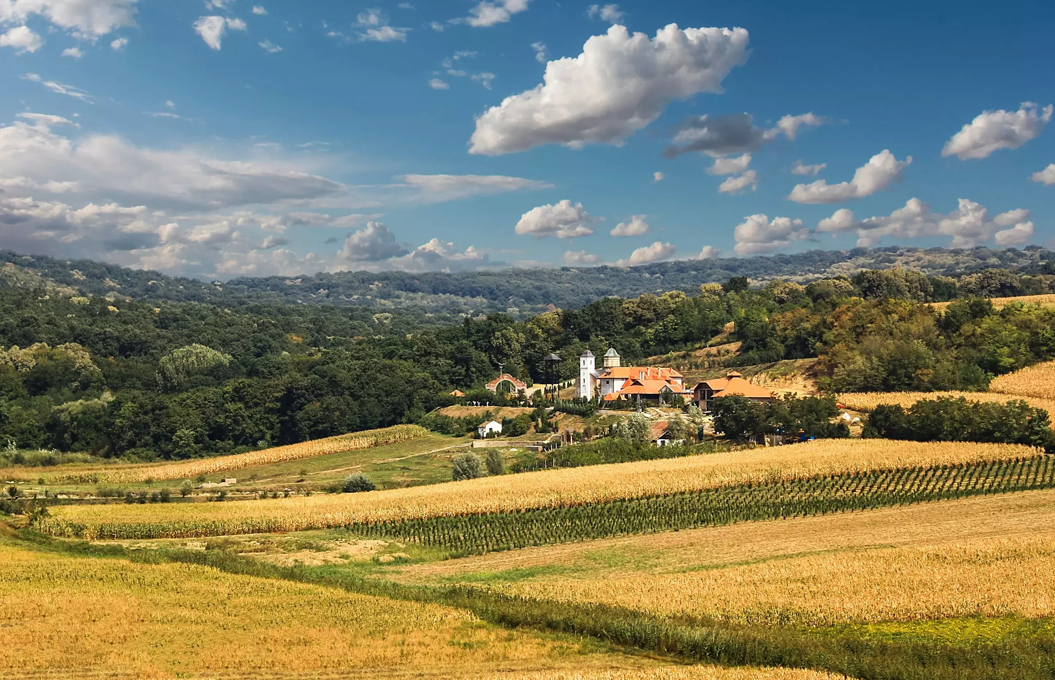 Rows of crops and vineyards near a small town with a central monastery.