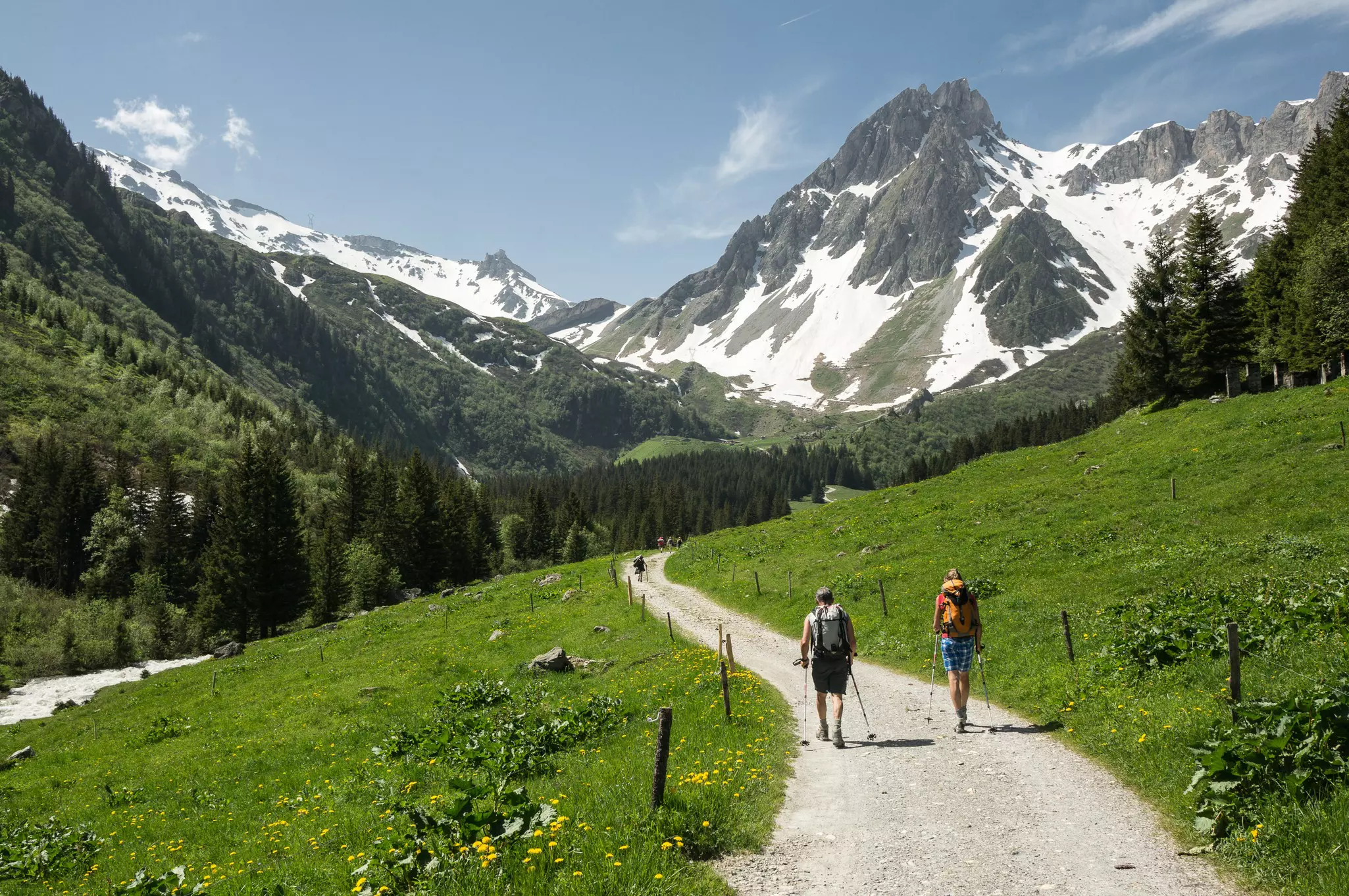 Two well-equipped hikers follow a clear path through grassland towards snowy mountain peaks.