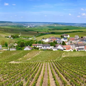 View on green grand cru champagne vineyards near village Cramant, Cote des Blancs area, Champange, France.