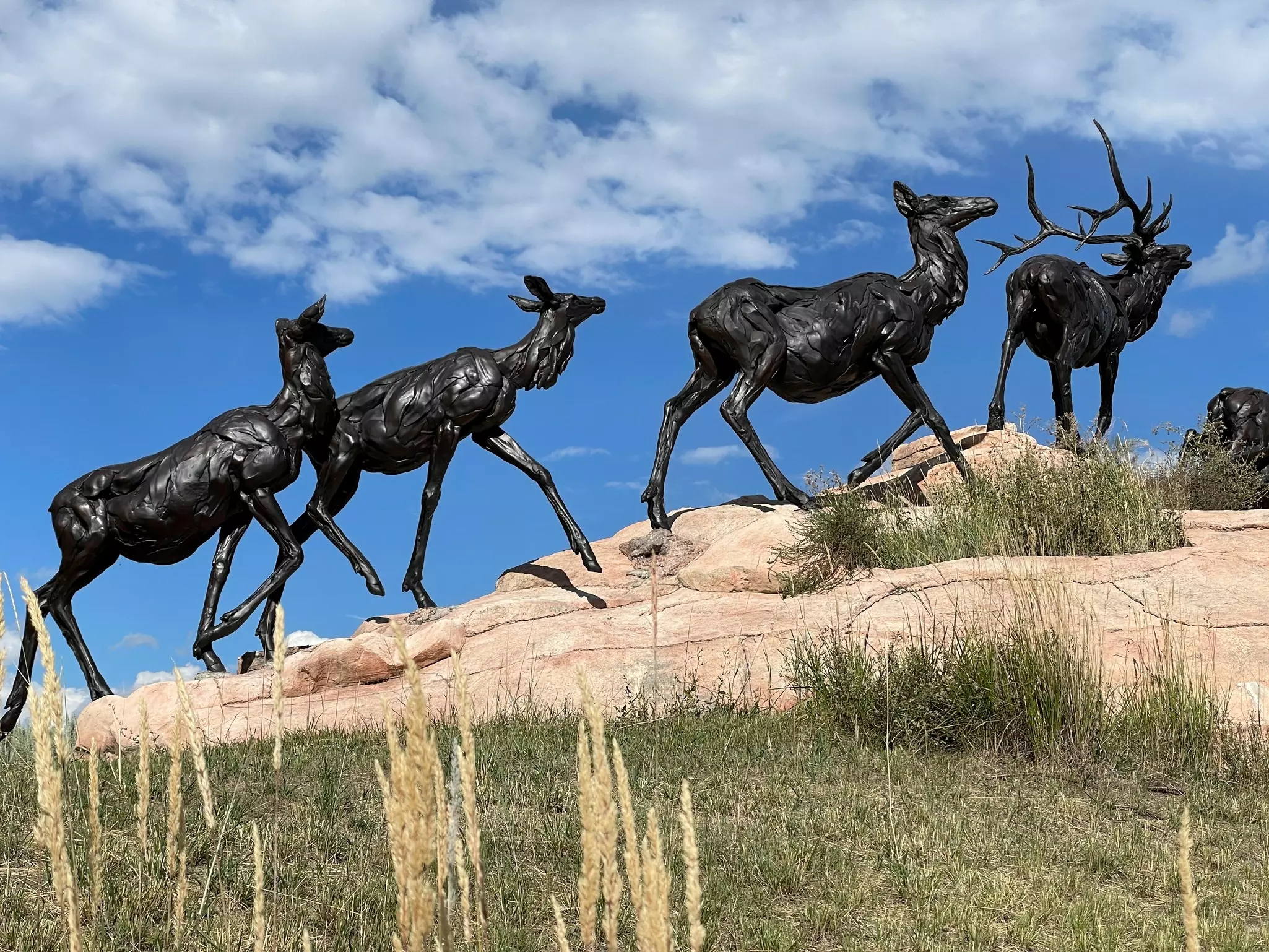 Four sculptures of elk walking up a mountain.