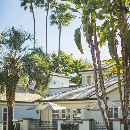 Bungalows and palm trees