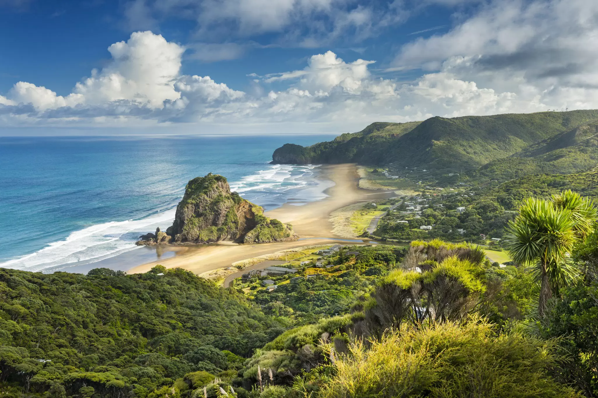 Lion Rock dominates the bay and beach at the surfers' paradise of Piha. Justin Foulkes / Lonely Planet