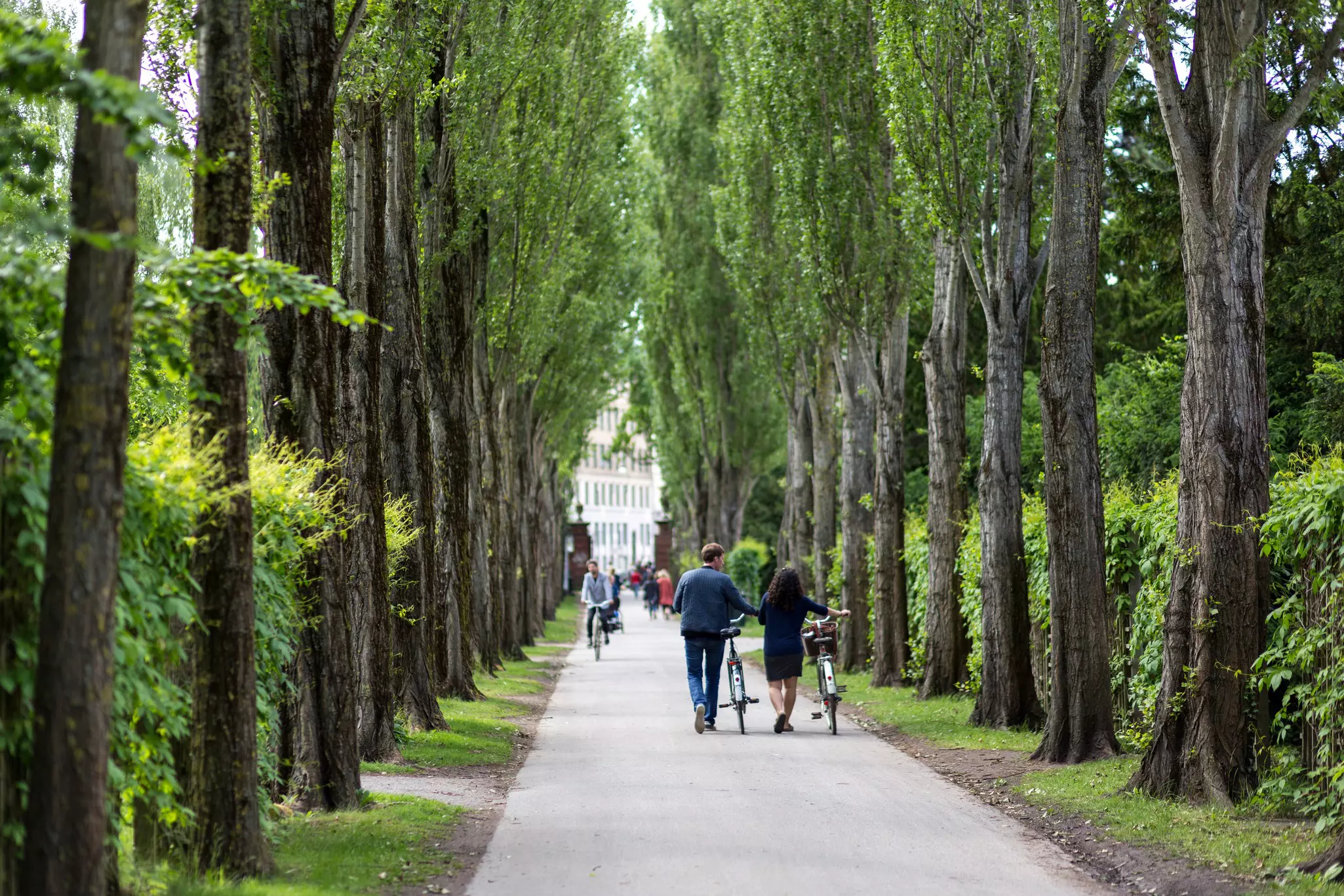 People walk their bikes down a path lined with trees in a city park.