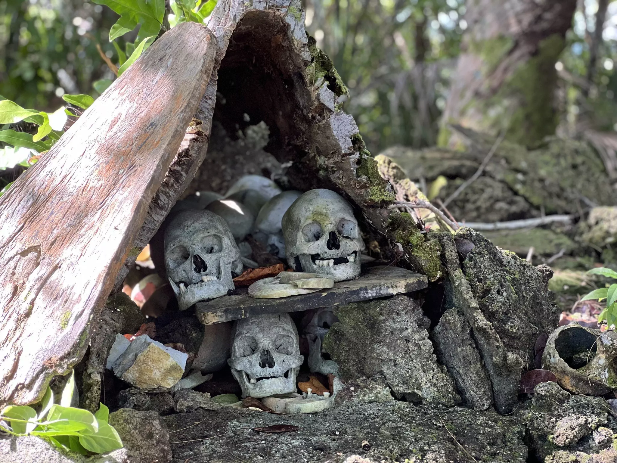 A shrine of skulls protected by stones