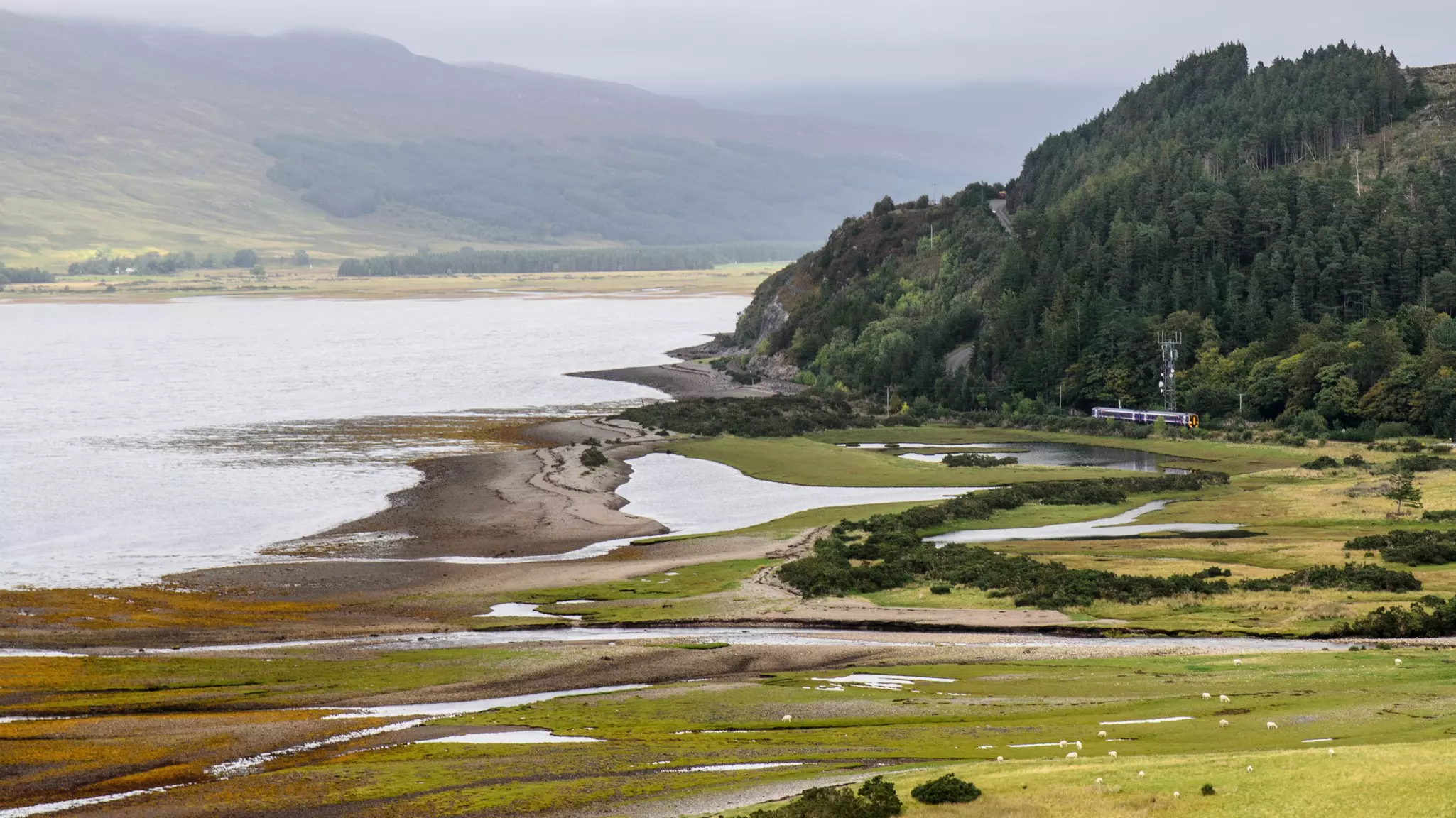 A two-carriage train passes by a vast lake in a rural landscape.