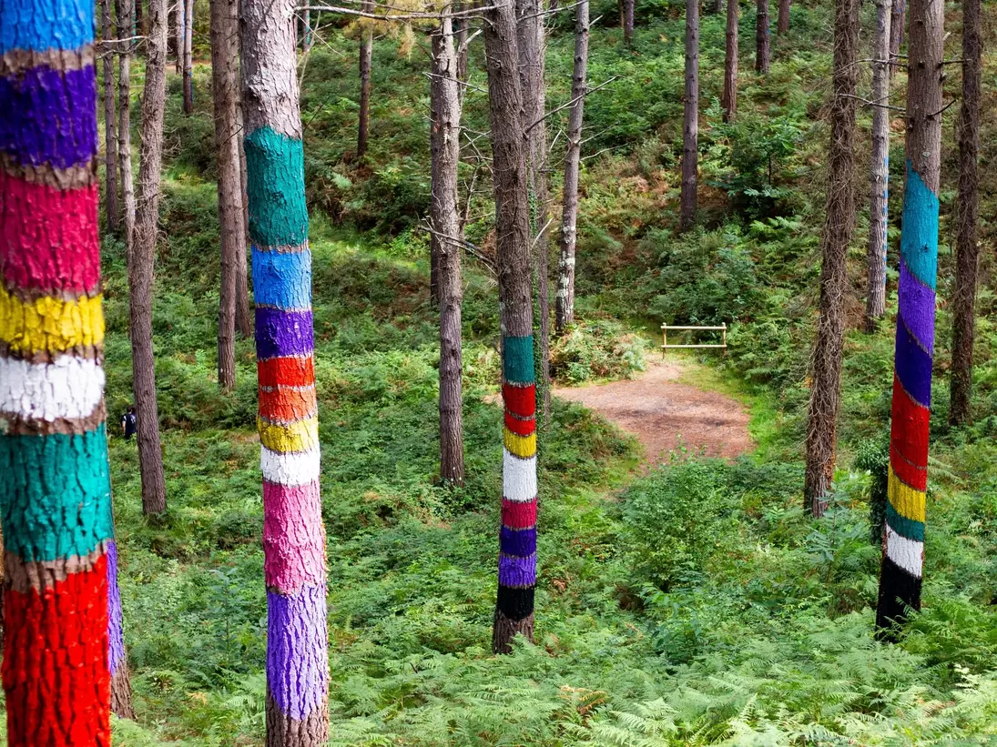View of colorfully painted trees in the Oma Forest near Bilbao, Spain.