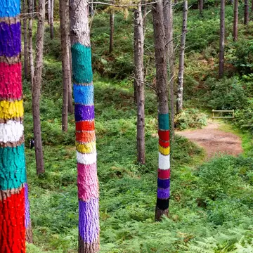 View of colorfully painted trees in the Oma Forest near Bilbao, Spain.