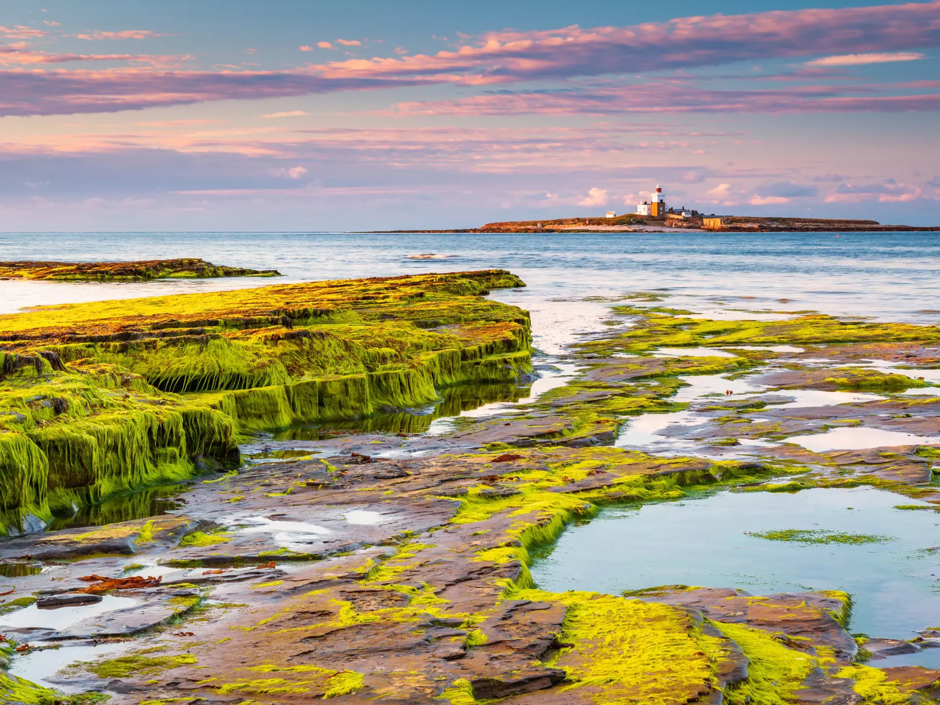 Coquet Island near Amble, off the coast of Northumberland. Dave Head/Shutterstock