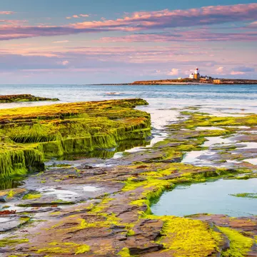 Coquet Island near Amble, off the coast of Northumberland. Dave Head/Shutterstock