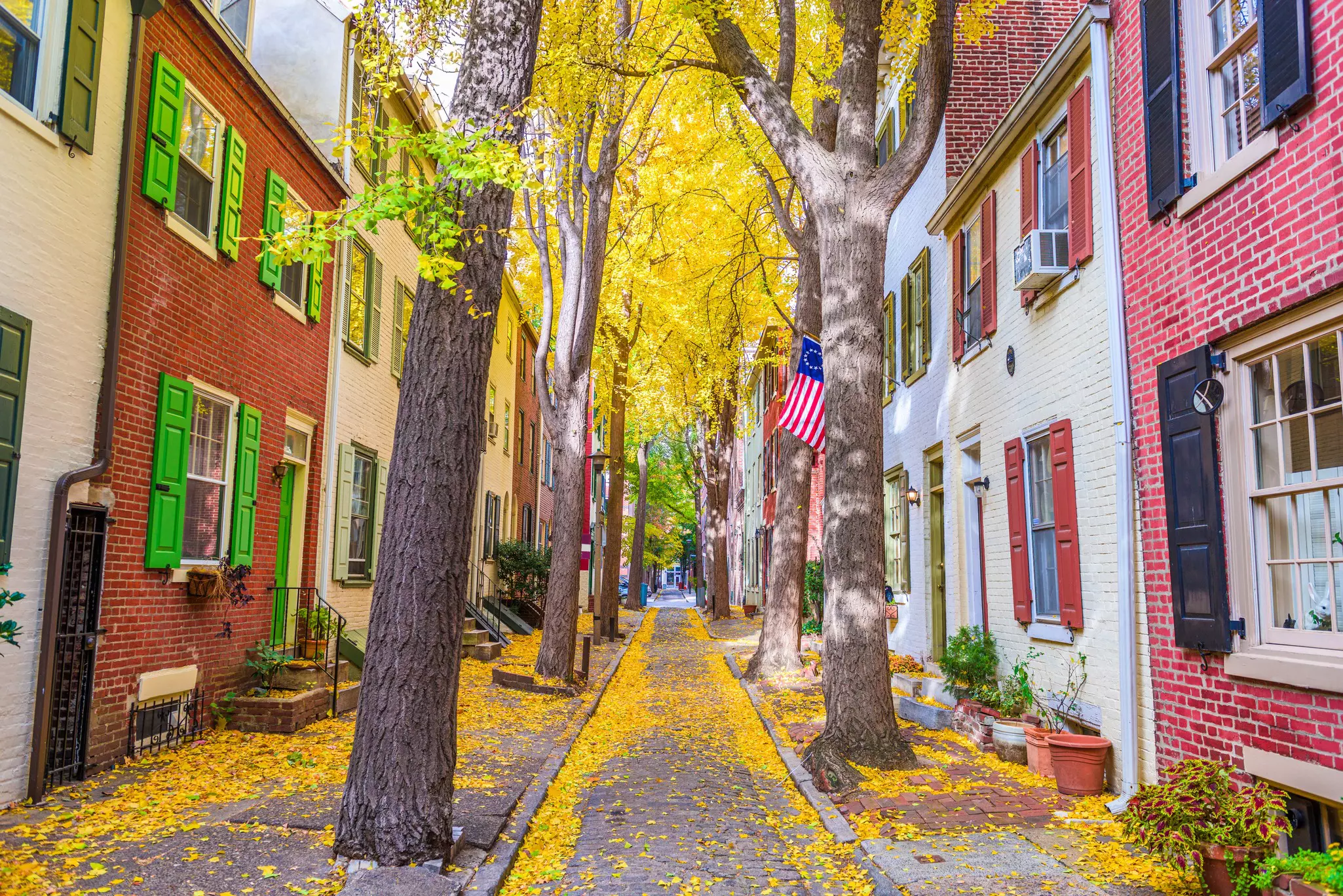 Alleyway with yellow fallen leaves and trees surrounded by historic brick townhouses with colorful shutters.
