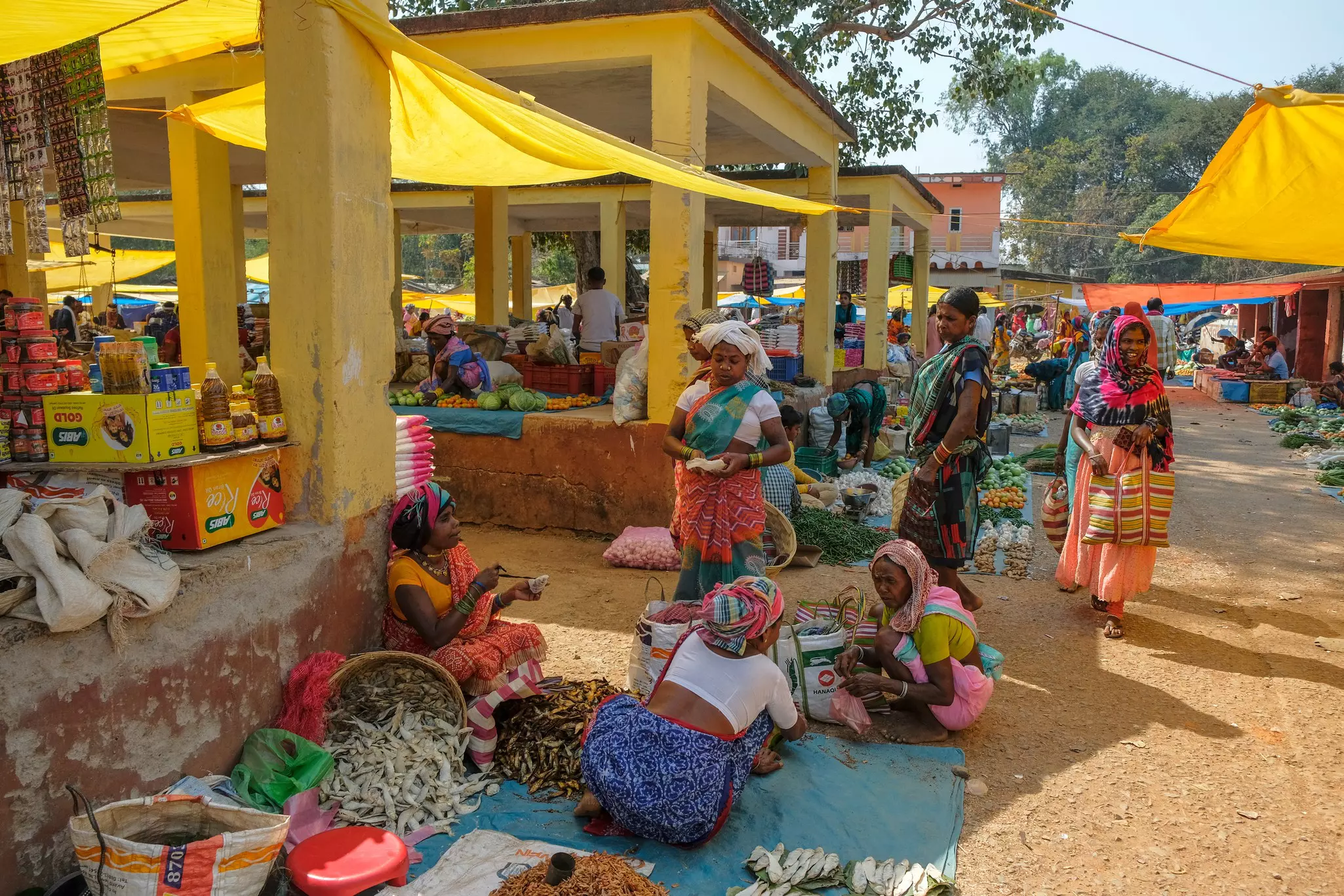 Women in colorful clothing selling dried fish at the weekly market in Bastar.