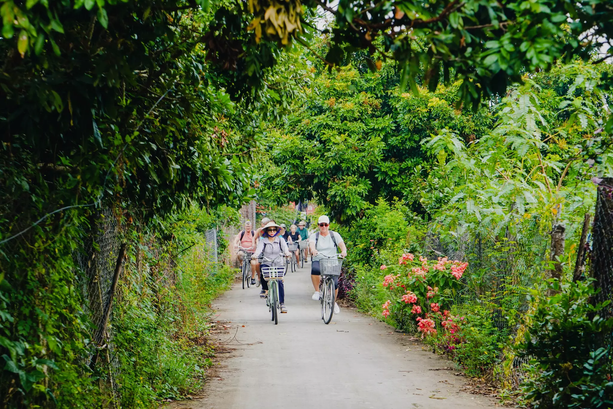 A group of cyclists pedal bikes down a tree-lined path.