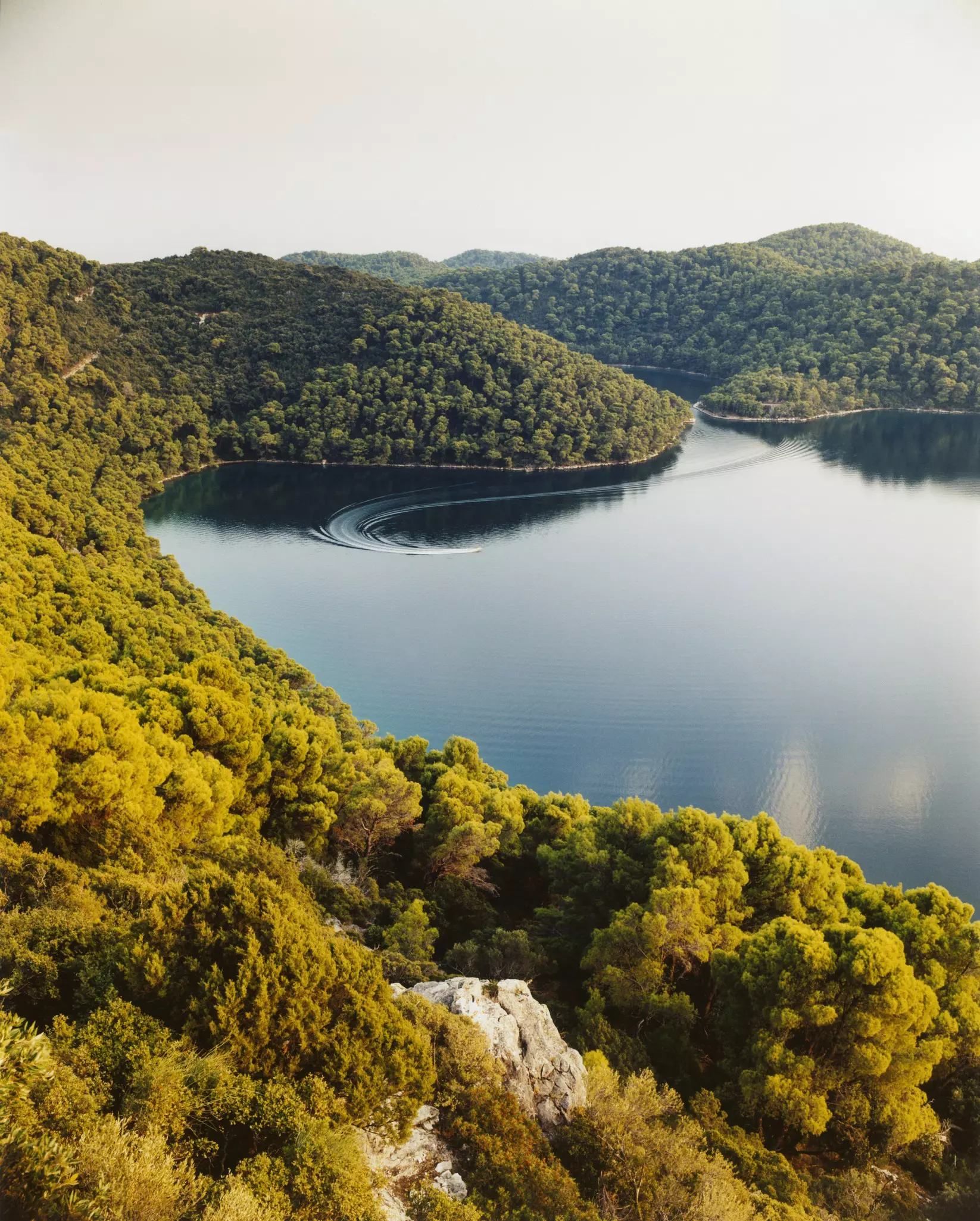 The light shines over the trees and water of a lake on a sunny day