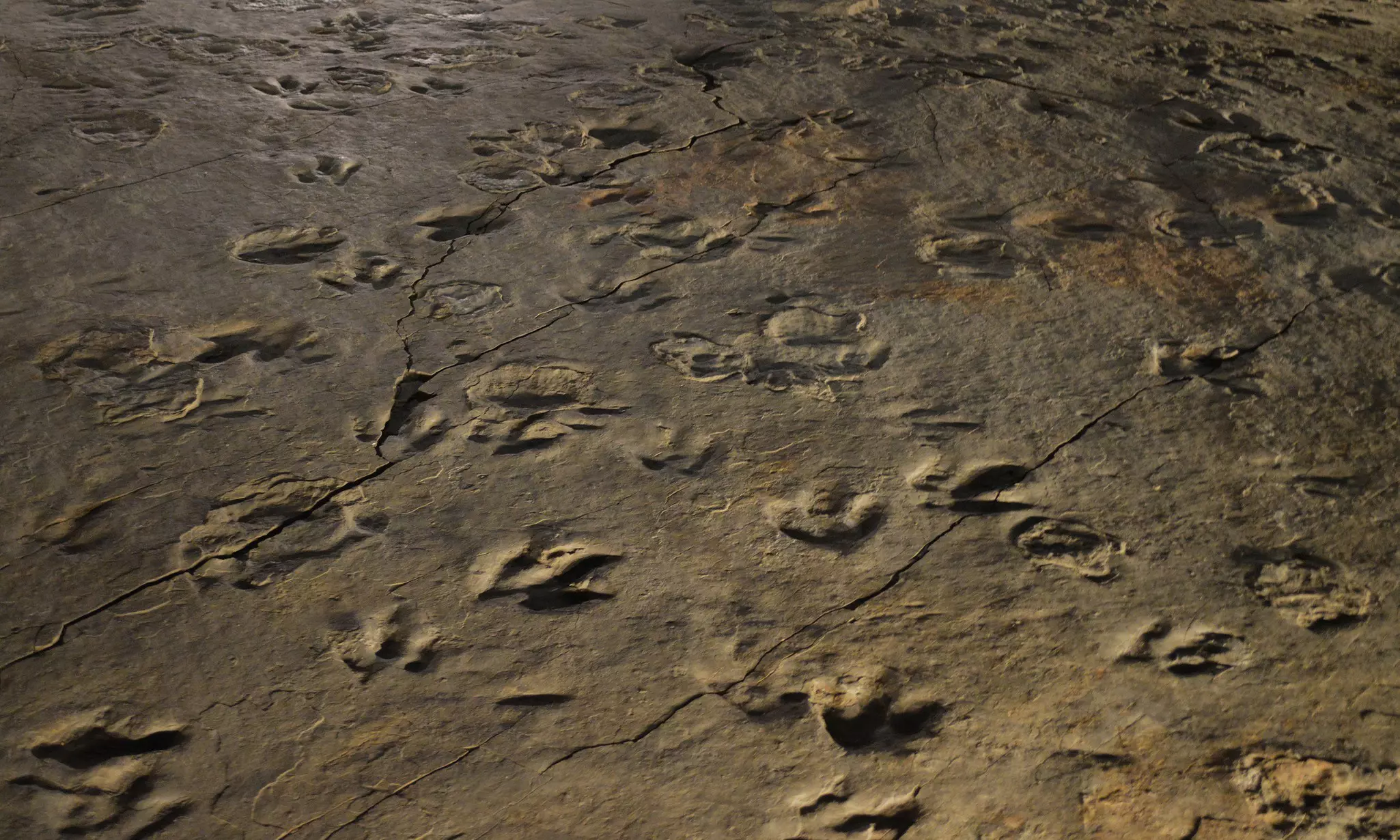 Dinosaur tracks at Dinosaur State Park in Connecticut. mcpuckette/Getty Images