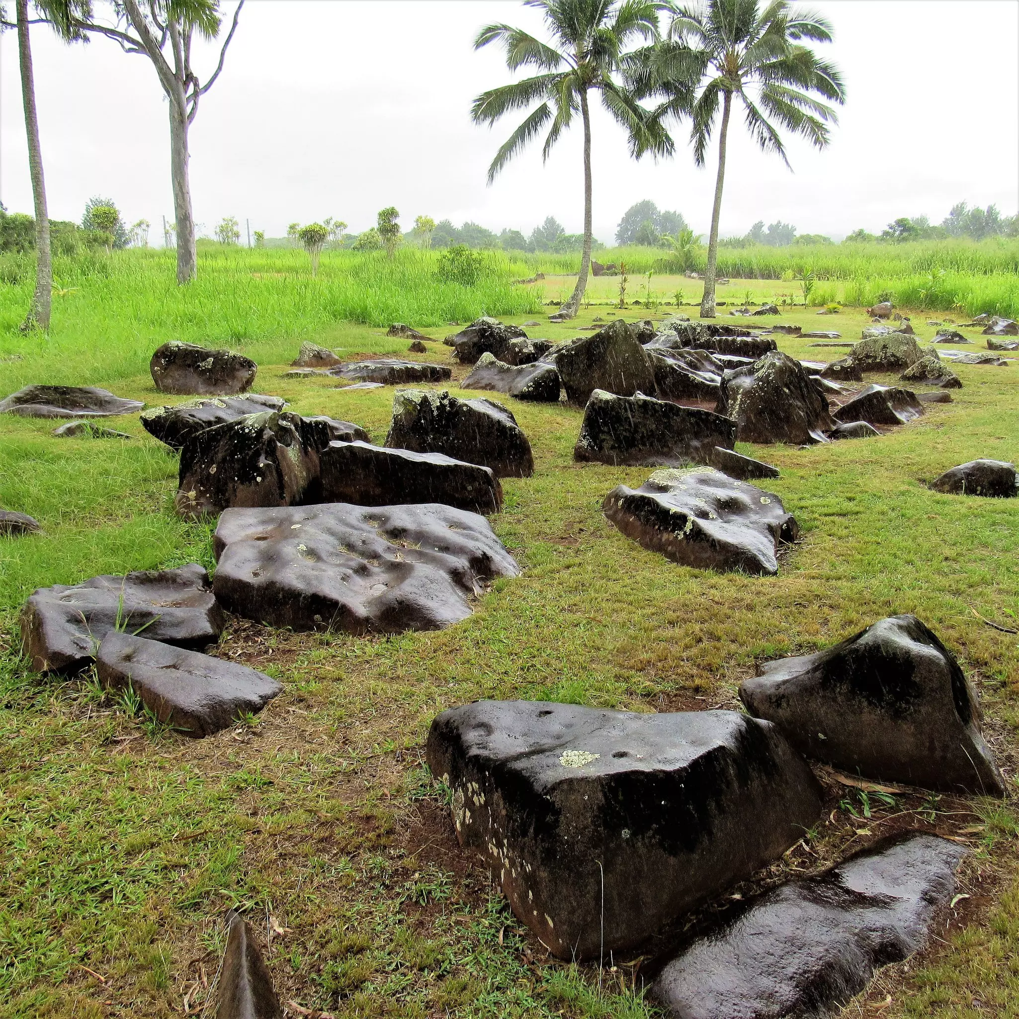 Royal birthing stones at Kukaniloko historical site. 