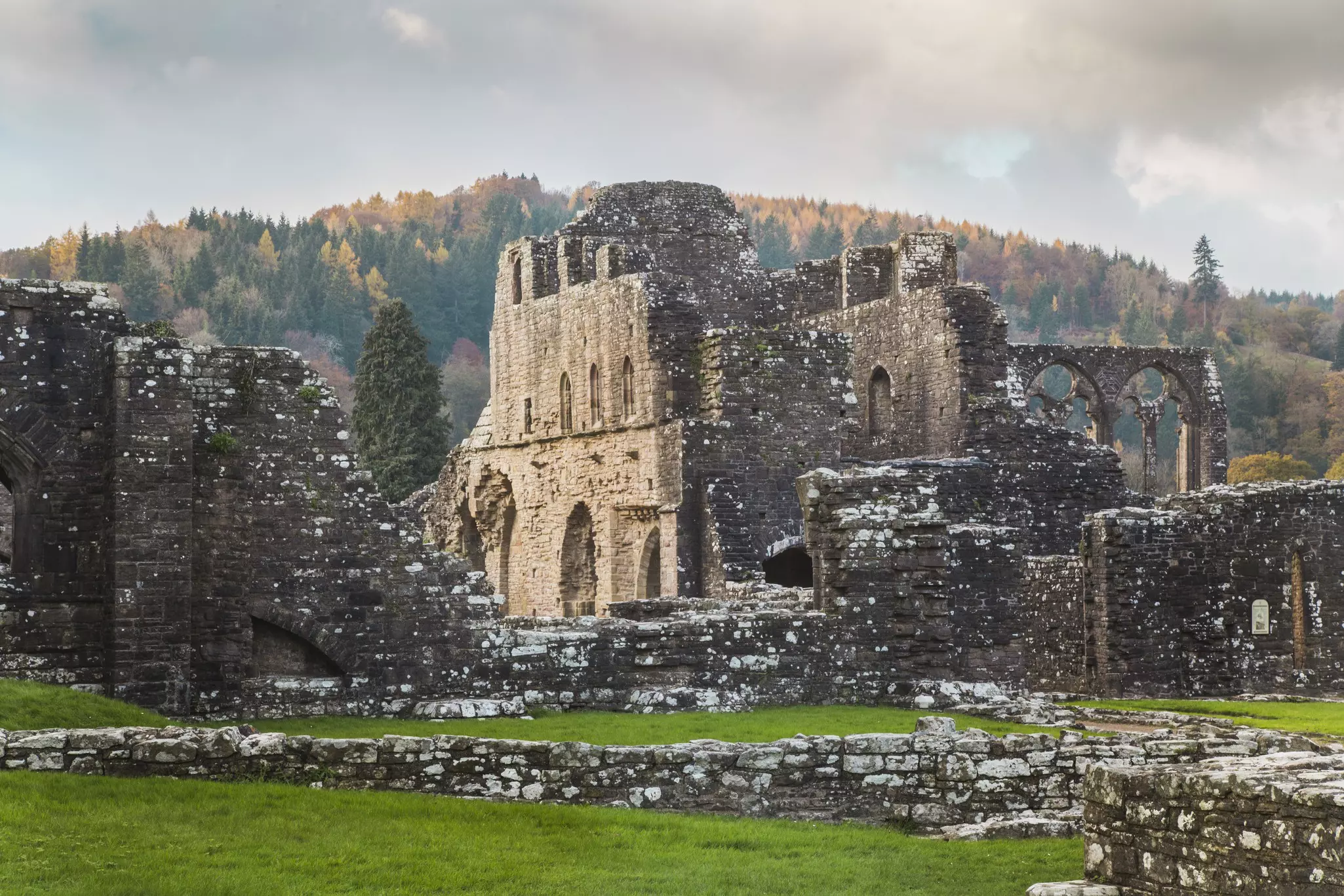 The ruins of a medieval abbey, with lichen covering the stones of its deteriorated walls.
