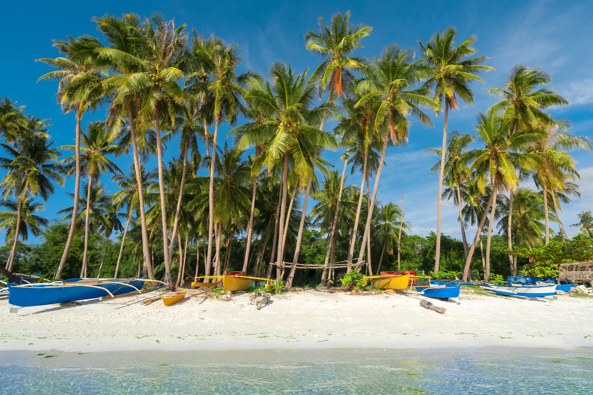 White sand and palm trees on Siquijor Island in the Philippines. 