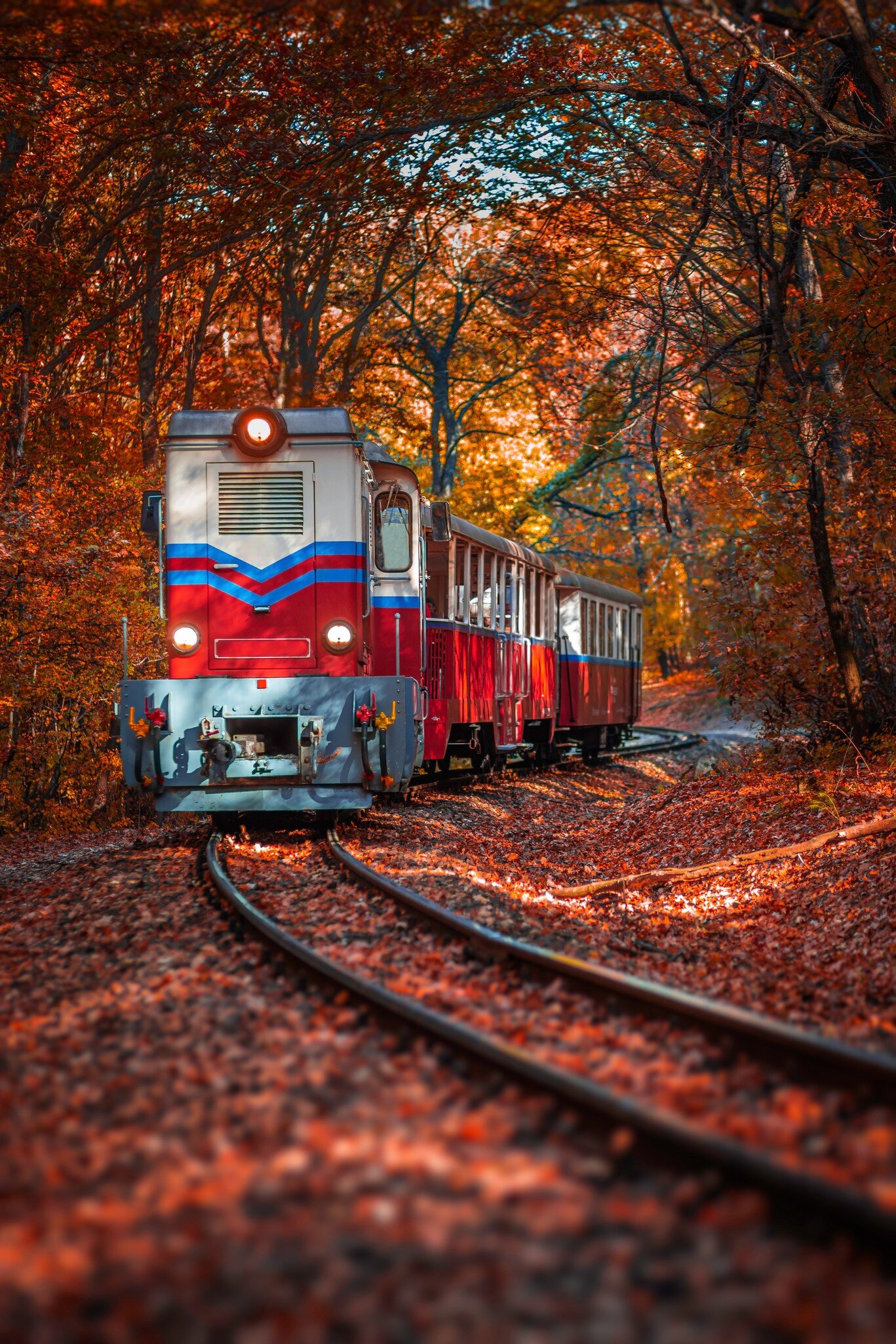 View of the children's locomotive on the S curve track in the Hűvösvölgy woods with autumn foliage near Budapest, Hungary.
